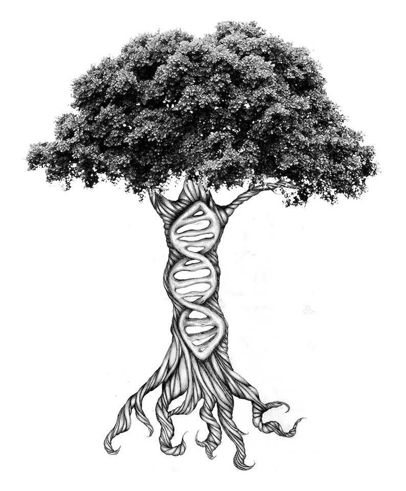 May include: Black and white illustration of a tree with a DNA helix integrated into its trunk. The tree has a full, leafy crown and detailed roots. The artwork is rendered in a realistic style, with shading to create depth and texture.