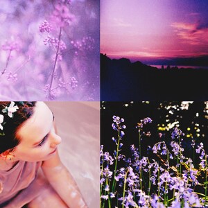 RUTHLESS Photoshop Curve Preset // High Contrast Purple Tint Curve, Photo Editing, Photography Curve, Wedding Photoshop Curve