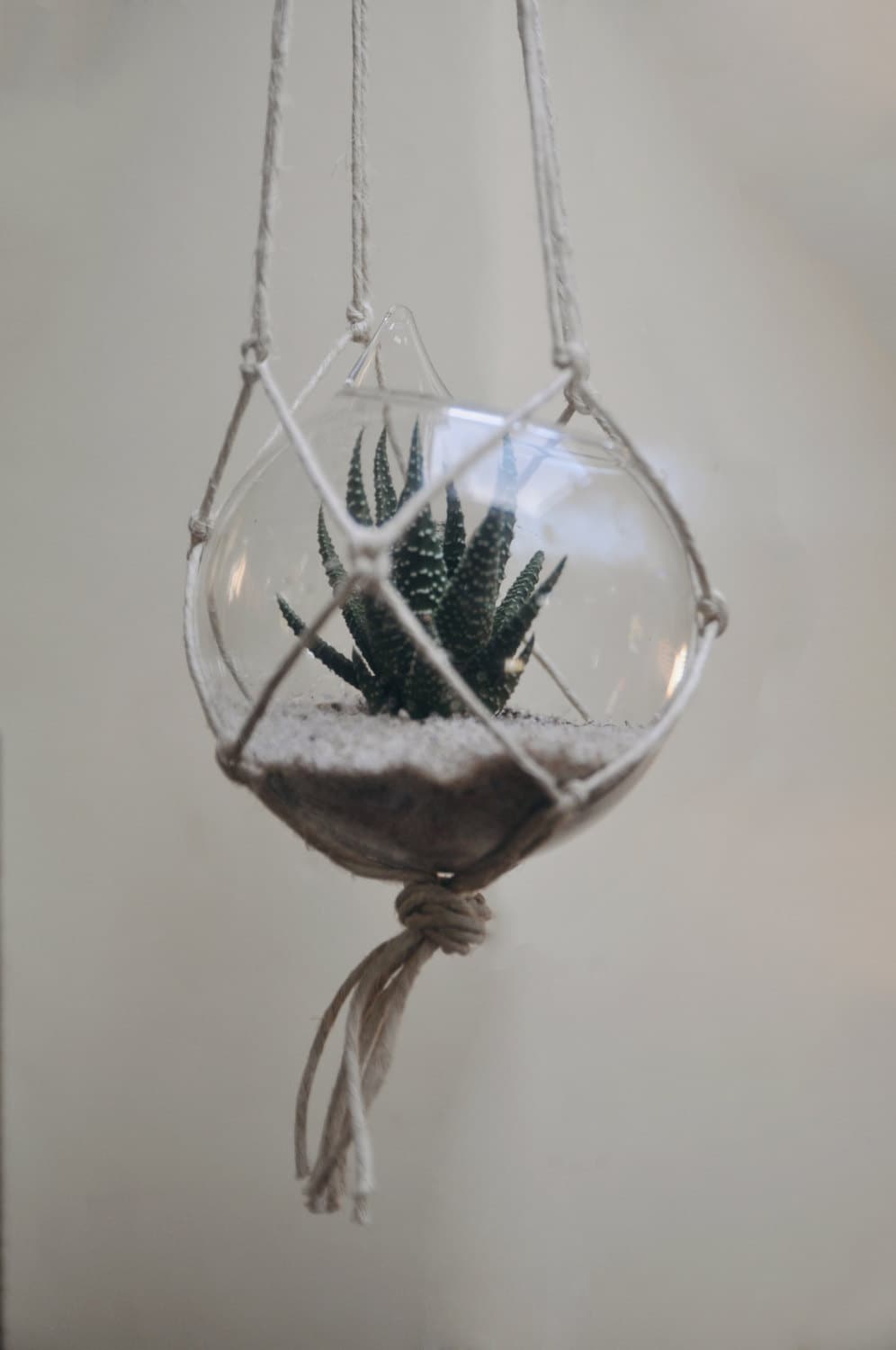 Cintre d'usine de Macrame, Planteur Suspendu, Support Suspendu d'usine, à L'intérieur, Mur, Intérieu