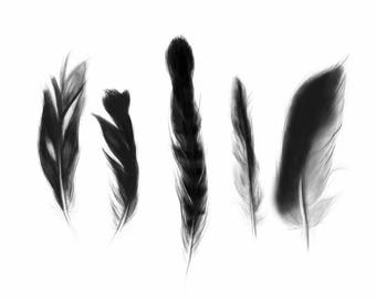 Feathers Art, Feathers Illustration, Nature Art, Feathers Print, Nature Print, Digital Art, Minimal Art, Black, Modern Home Decor Modern Art