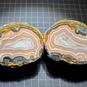 May include: Two polished agate slices featuring concentric bands of white, tan, and peach colors. The outer edges are lined with a vibrant yellow mineral crust, while the centers contain crystalline formations and dark gray, textured inclusions.