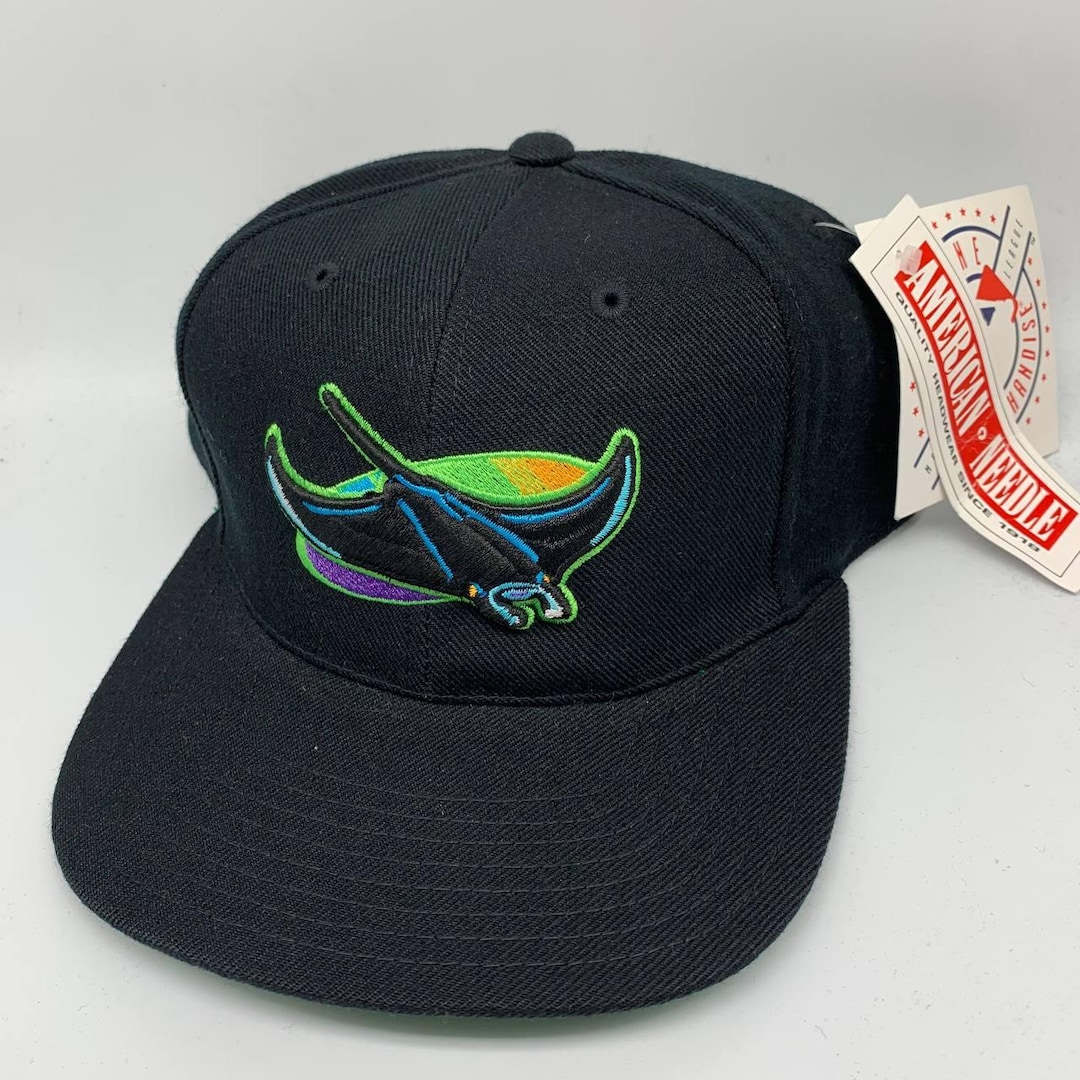 Vintage Tampa Bay Devil Rays Wool Blockhead American Needle Hat ...