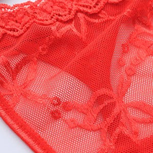 May include: Close-up of red lace underwear. The delicate fabric features intricate floral patterns and a scalloped edge. The sheer material allows a glimpse of the skin beneath, creating a sensual and elegant look. The vibrant red color adds a bold touch.