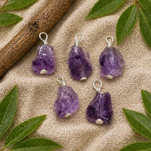 Può includere: Cinque ciondoli di ametista grezza con anelli in filo argentato e piccoli cappucci argentati. I ciondoli sono di colore viola intenso e sono esposti su uno sfondo di tessuto beige con foglie verdi e un rametto marrone.