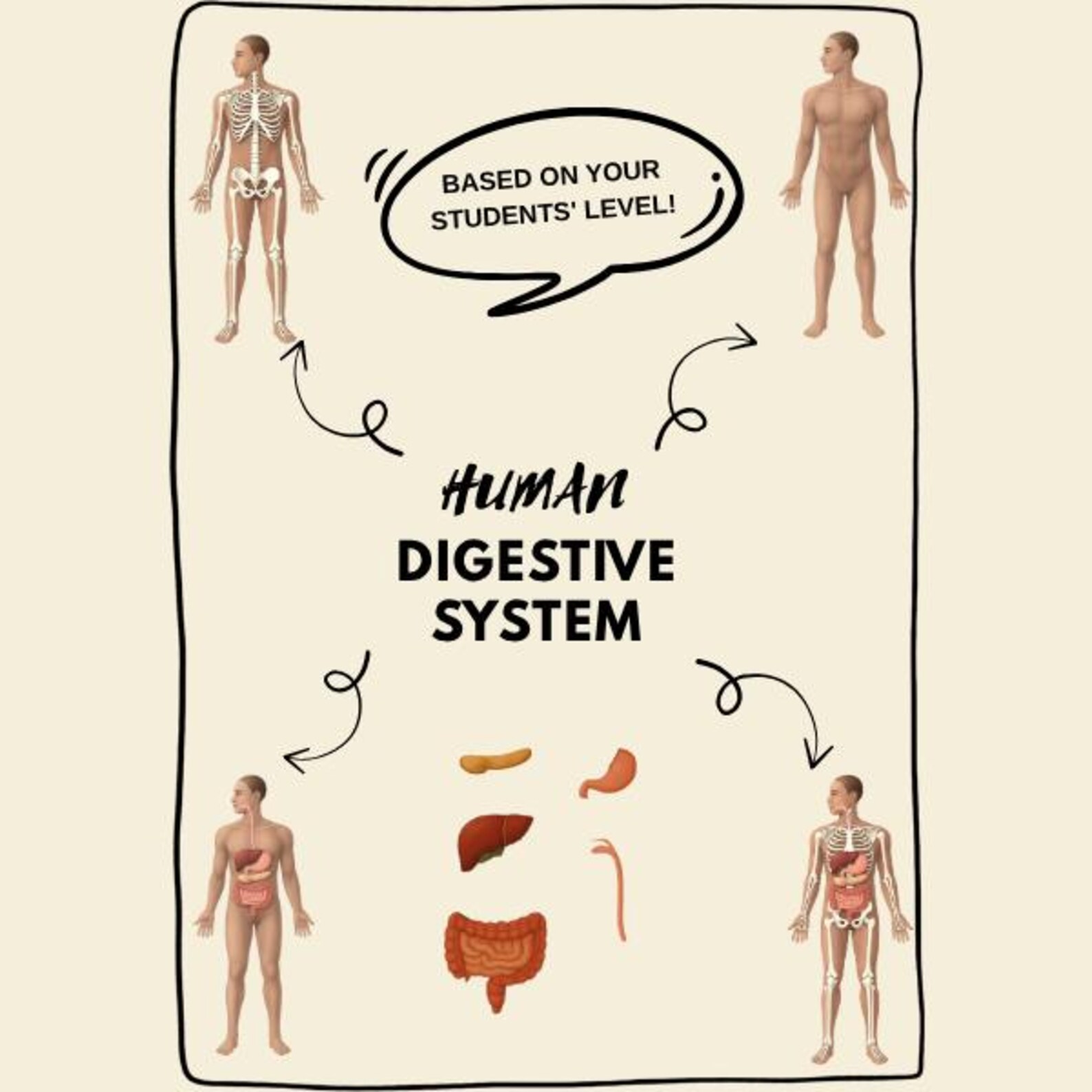 Science Teacher Designed Digestive System Cut and Paste Activity ...