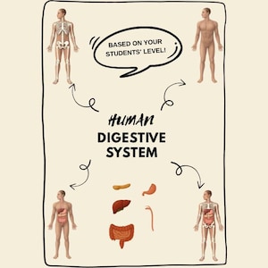 Digestive System Cut and Paste Activity – Human Body or Skeleton – STEM Science Worksheet for Kids – Anatomy- Montessori Inspired