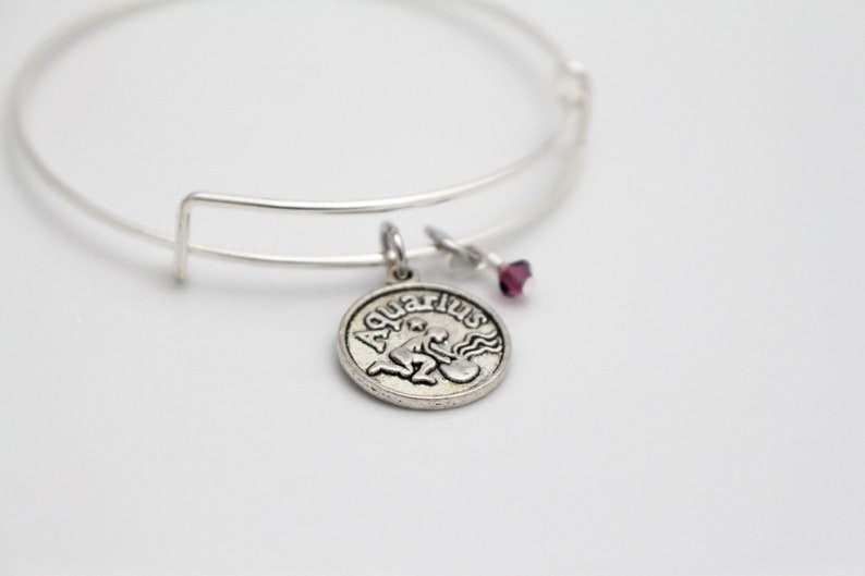 Aquarius Zodiac Bracelet Swarovski® Birthstone Adjustable Bangle Bracelet February Birthday Gift image 5