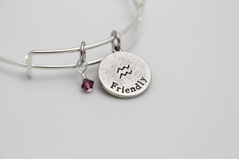 Aquarius Zodiac Bracelet Swarovski® Birthstone Adjustable Bangle Bracelet February Birthday Gift image 8