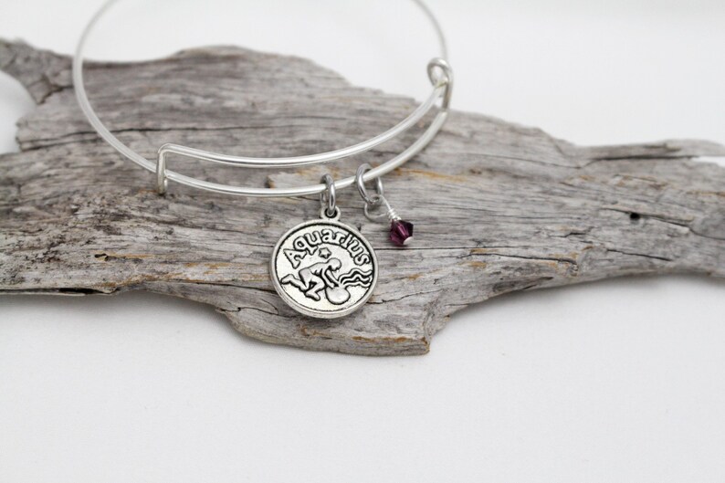 Aquarius Zodiac Bracelet Swarovski® Birthstone Adjustable Bangle Bracelet February Birthday Gift image 3