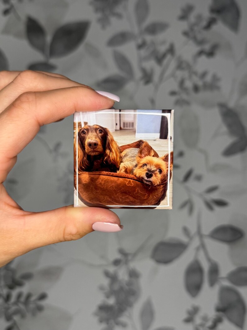 K&ouml;nnte beinhalten: Ein quadratischer Magnet mit einem Foto eines langhaarigen braunen Dackels und eines kleinen hellbraunen Terrier-Mischlings, die zusammen in einem braunen Hundebett liegen. Das Bild ist von einem d&uuml;nnen wei&szlig;en Rand umgeben.