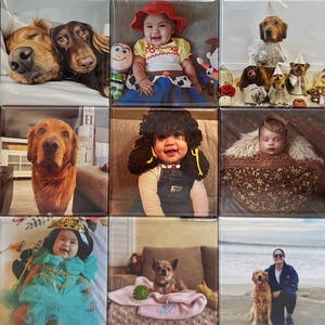 K&ouml;nnte beinhalten: Eine Collage aus achtzehn quadratischen Fotokacheln mit verschiedenen Bildern von S&auml;uglingen und Hunden. Die Fotos zeigen Kinder in Kost&uuml;men, Golden Retriever, Dackel und Szenen im Freien, angeordnet in einem Raster aus drei Reihen und sechs Spalten.