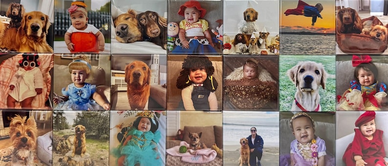 K&ouml;nnte beinhalten: Eine Collage aus achtzehn quadratischen Fotokacheln mit verschiedenen Bildern von S&auml;uglingen und Hunden. Die Fotos zeigen Kinder in Kost&uuml;men, Golden Retriever, Dackel und Szenen im Freien, angeordnet in einem Raster aus drei Reihen und sechs Spalten.