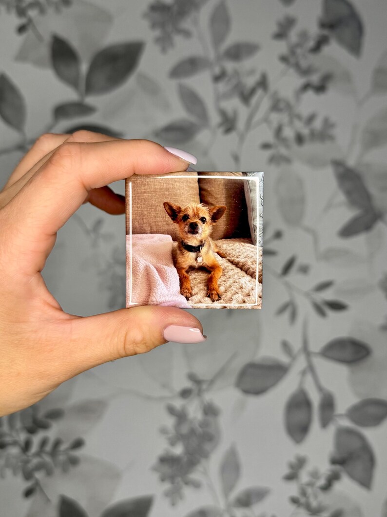 K&ouml;nnte beinhalten: Ein quadratischer Fotomagnet mit einem kleinen, hellbraunen Hund mit gro&szlig;en Ohren und einem schwarzen Halsband. Der Hund liegt auf einer strukturierten beigen Oberfl&auml;che neben einer weichen rosa Decke. Das Bild ist von einem d&uuml;nnen wei&szlig;en Rand umgeben.