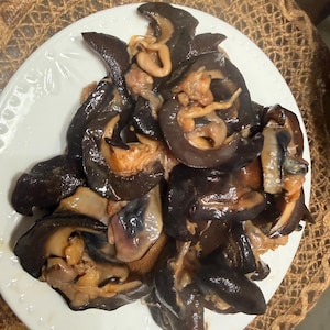 May include: A white plate filled with cooked, dark brown, curved sea snails. The mollusks have a glossy, firm texture with visible light tan and beige interior flesh. The plate features a subtle embossed pattern along the outer rim.