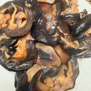 May include: A pile of sliced, cooked sea cucumbers on a white plate. The sea cucumbers have a dark, glossy, blackish-brown exterior skin and a lighter, tan-colored, textured interior flesh. The pieces are irregularly shaped and appear moist.