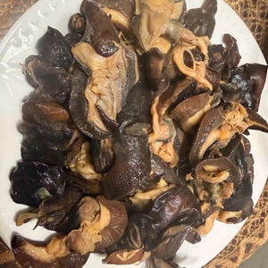 May include: A white plate filled with a heap of cooked wood ear mushrooms. The mushrooms have a dark brown, glossy, and gelatinous appearance with irregular, ruffled shapes and lighter tan-colored inner sections visible throughout the pile.