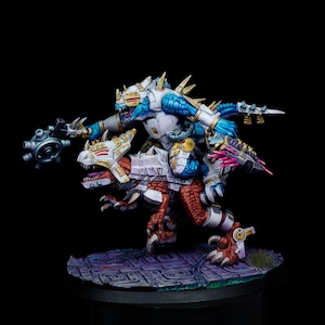 SSH Veteran Raider Painted - from One Page Rules