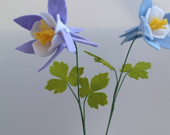 Un solo tallo de flor de aguileña de fieltro, aguileña azul de Colorado, aquilegia lavanda