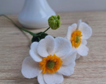 White Felt Windflower, Anemone Flower Stem