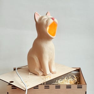 Handgemaakte keramische kattenlamp: gezellig nachtlampje voor kattenliefhebbers