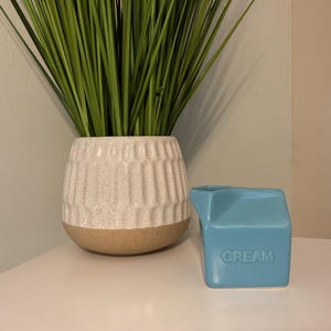 charming ceramic milk carton.