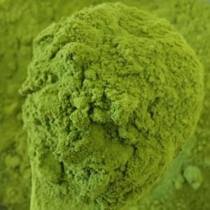 Wolffia Powder (Duckweed) – Plant-Based Superfood Protein | Vegan, High Protein, Complete Amino Acids 500g