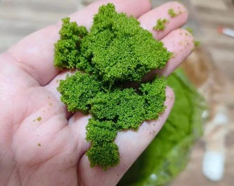 Wolffia Powder (Duckweed) – Plant-Based Superfood Protein  400g