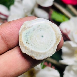Può includere: Una pietra rotonda e lucida con un esterno beige chiaro e un motivo centrale di cerchi concentrici bianchi e verde pallido. La pietra è tenuta in mano, con fiori bianchi sullo sfondo.