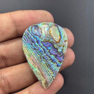 May include: A teardrop-shaped abalone shell with iridescent colors of blue, purple, green, and gold. The shell has a textured, layered appearance with natural patterns. The polished surface reflects light, showcasing the shell's unique beauty.