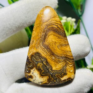 May include: A polished, teardrop-shaped gemstone with a swirling pattern of brown and gold tones. The stone has a smooth, glossy surface and a natural, earthy appearance. The gemstone is held in a white glove.