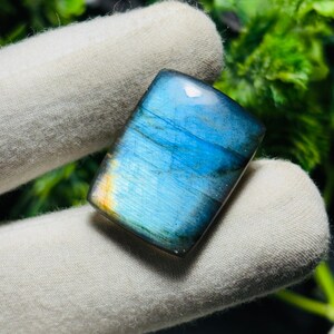 May include: A rectangular, polished labradorite gemstone displaying blue, teal, and yellow colours. The stone is held in a white glove, with green foliage in the background. The gemstone's surface reflects light, showcasing its iridescent quality.