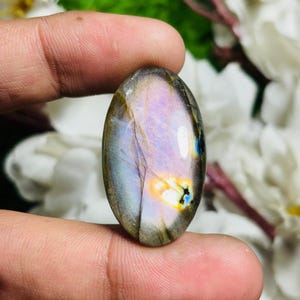 May include: An oval-shaped labradorite gemstone with a polished surface. The stone displays a mix of colors, including purple, blue, yellow, and gray. The gemstone is held between fingers against a blurred background of white flowers and green foliage.