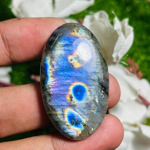 Può includere: Una pietra preziosa di labradorite di forma ovale con una superficie lucida. La pietra mostra lampi iridescenti di blu, viola e giallo su uno sfondo grigio. La pietra preziosa è tenuta in mano, con fiori bianchi sullo sfondo.