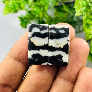 Zebra Stone Rectangle Cabochon Pair, Black White Gemstone for Jewelry Making (25x13x4mm)