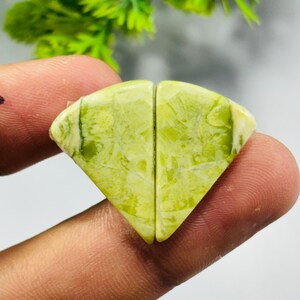 Puede incluir: Dos piezas de piedra preciosa verde claro, cortadas en forma de diamante, se sostienen entre los dedos. Las piedras tienen un aspecto veteado con vetas verdes más oscuras. El fondo está borroso, con toques de follaje verde.