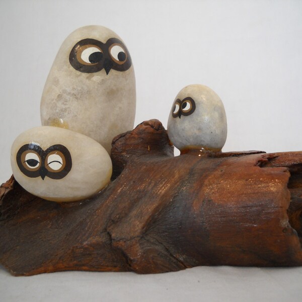 Vintage Oolie Owl Pet Rock Owl Family On Driftwood