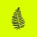 Corentin