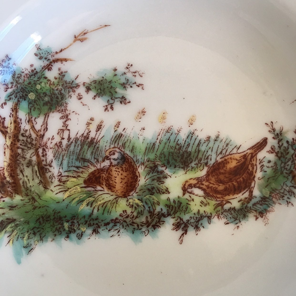 Ch Field Haviland China - Etsy