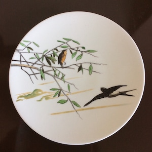 English Registry Plate Philomele & Progne / Vintage Hand Painted Plate / Birds / Vintage English Plate