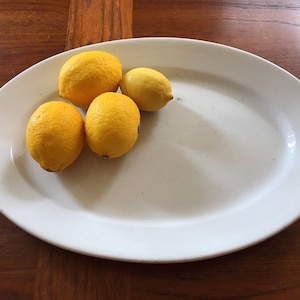 Antique White Ironstone | English Alfred Meakin White Ironstone Oval Platter