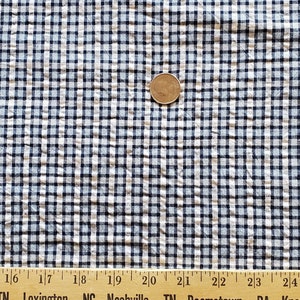 May include: A close-up of a white and blue gingham fabric with a US quarter for scale. The fabric has a subtle texture and a small, even grid pattern.