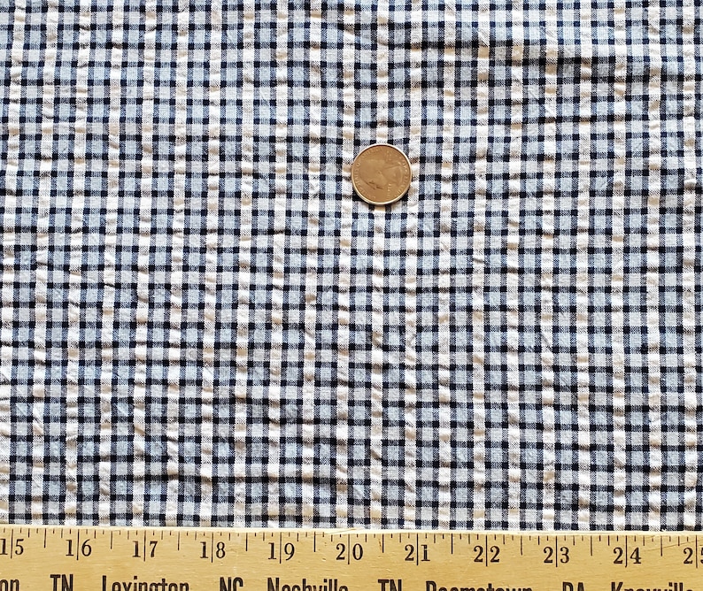 May include: A close-up of a white and blue gingham fabric with a US quarter for scale. The fabric has a subtle texture and a small, even grid pattern.