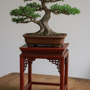 Rosewood Pedestal for Bonsai and Vases, Asian Wooden Carved Base, Wooden Stand for Bonsai, Vases, Flowers, Wooden small Table, Incense Table