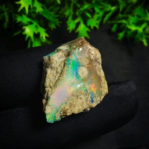 May include: A rough, uncut opal gemstone with vibrant colors. The opal displays flashes of green, blue, orange, and pink within a matrix of tan and brown rock. The stone is set against a dark background with green foliage.