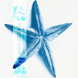Nautical Sea Star Cyanotype Template Pack | 5 Starfish Marine Negative Transparencies for Sun Prints