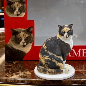 custom cat bobblehead, custom pet figurine, custom cat figure, personalized cake topper cat figurine，custom pet portrait statuette