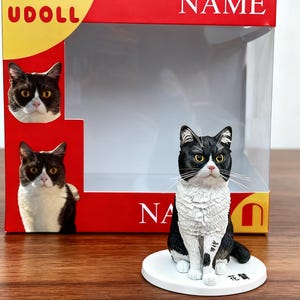 custom cat bobblehead, custom pet figurine, custom cat figure, personalized cake topper cat figurine，custom pet portrait statuette