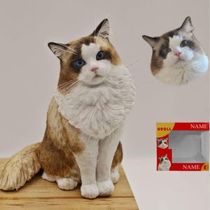 custom cat bobblehead, custom pet figurine, custom cat figure, personalized cake topper cat figurine，custom pet portrait statuette