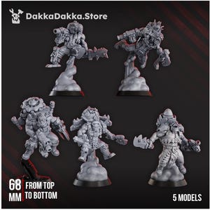 May include: Five gray miniature models of futuristic warriors, each posed dynamically on a cloud-like base. The models are approximately 68 mm tall. The DakkaDakka.Store logo is in the top left corner.