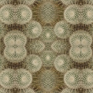 Puede incluir: Patr&oacute;n sim&eacute;trico de peque&ntilde;os cactus redondos con superficies moteadas blancas y verdes y espinas marrones afiladas. La disposici&oacute;n crea un dise&ntilde;o texturizado repetitivo, que evoca un paisaje des&eacute;rtico.